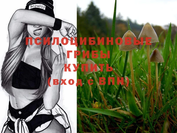 MDMA Premium VHQ Аркадак