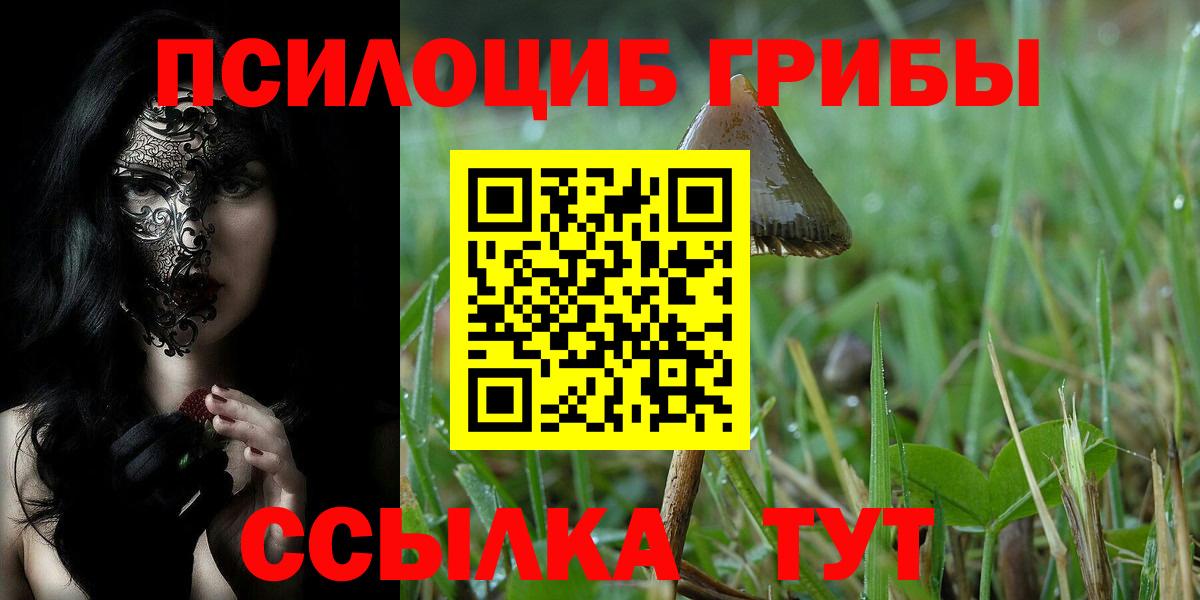 Галлюциногенные грибы MAGIC MUSHROOMS  Галлюциногенные грибы прущие грибы  Вход с VPN  Брянск 